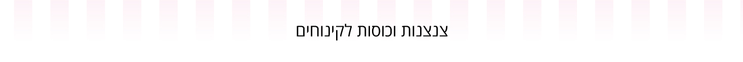 צנצנות וכוסות לקינוחים - עדי כהן - מוצרים וחומרי גלם לאפיה 