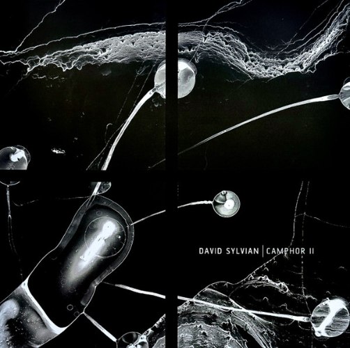 DAVID SYLVIAN/CAMPHOR II - 2LP RSD 2025
