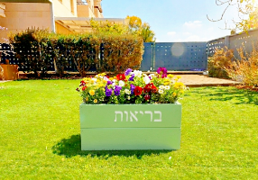 אדנית בריאות