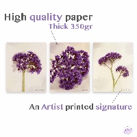 Botanical Wall Art