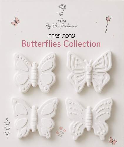 מארז יצירה Butterflies Collection