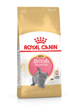 רויאל קנין גור חתולים בריטי שיער קצר 2 ק"ג - ROYAL CANIN KITTEN BRITISH SHORT HAIR 2KG
