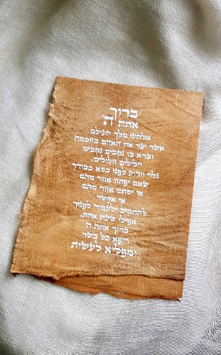 ברכת " אשר יצר " על עץ