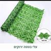 גדר עלי בטטה ירוקים - גדר עלים דקורטיבית במגוון דגמים