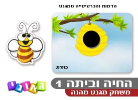 החיה וביתה שלב 1