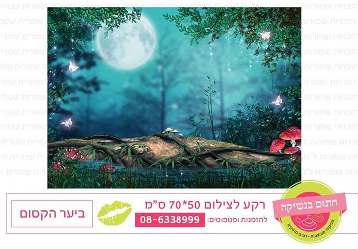 רקע צילום ביער הקסום