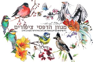 הדפסי אמנות של איורי דיו מקוריים מאת ויקי תיהמת/ ויקינגית בנושא ציפורים במנוחה