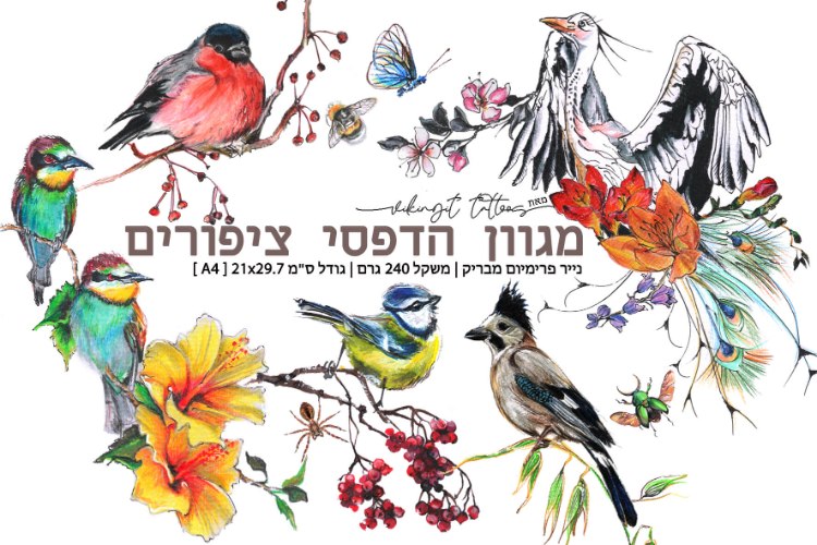 ציפורים במנוחה- מגוון הדפסי אמנות של איורי דיו מקוריים מאת ויקינגית