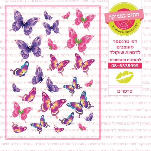 פרפרים- דף סוכר או טרנספר לבחירה