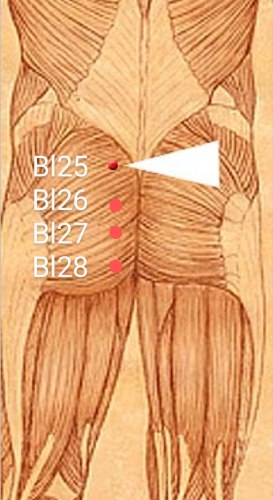 Bl26