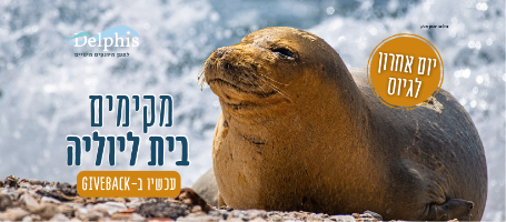סיור קבוצתי חווייתי במרכז הדולפין והים ותעודת הוקרה מיוליה- תמיכה בפרויקט