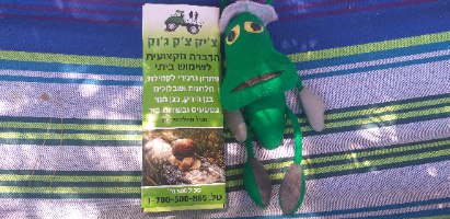 חומר נגד חשופיות