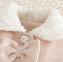 Winter Velvet