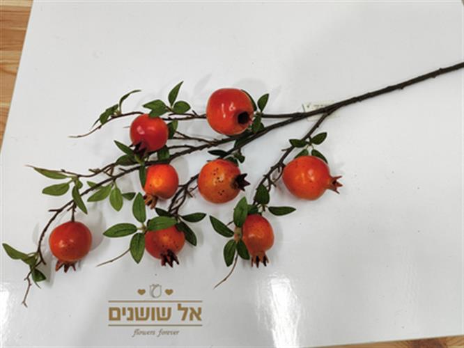 ענף רימונים גדול