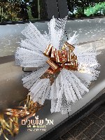 קישוט רכב צורת חץ 6 פונפון