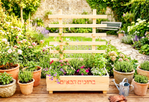 אדניות למטפסים