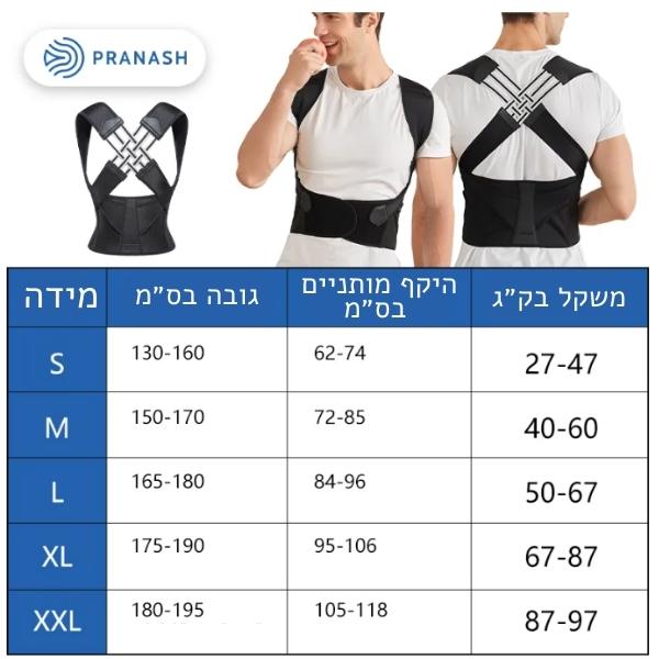 חגורת-גב-מידות