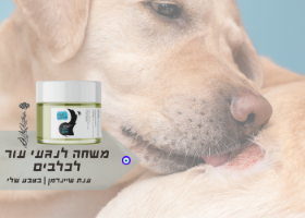 DOLITAI|משחה לנגעי עור לכלבים