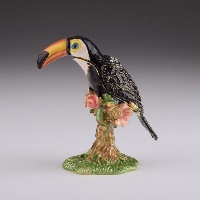 Toucan Bird
