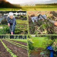 מגרפת-עישוב-ידנית-מפלדת-פחמן-לניכוש-עשבים-ועבודת-גינון-6