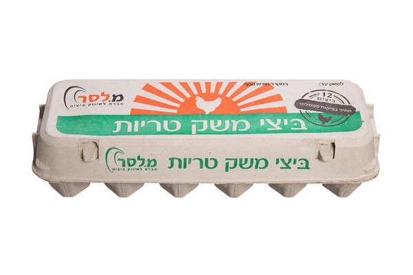 ביצי משק טריות L - מחיר בפיקוח ממשלתי