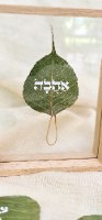 "אהבה " על עלה שבא עם הרוח 