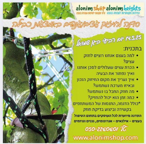 סדנת כבילת ענפים / עצים