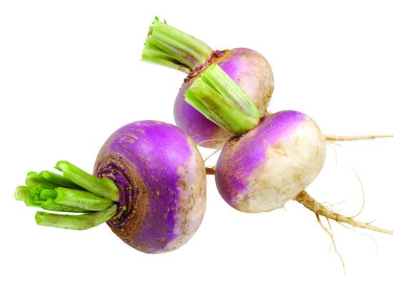 לפת