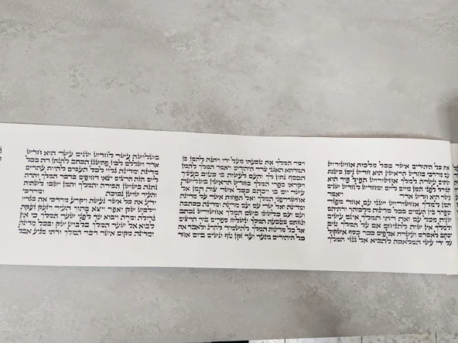 מגילת אסתר על קלף נוסח ספרדי 11 שורות