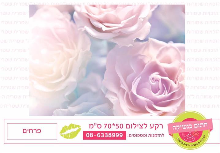 רקע לצילום פרחים