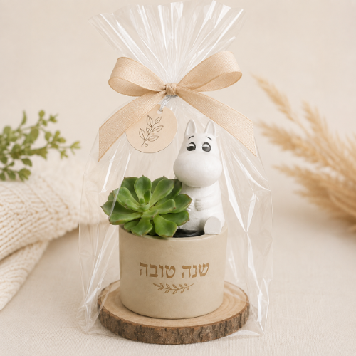 עציץ מומין