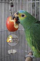 תפוחית - תופסן לתליית פירות וירקות