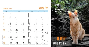 לוח שנה שולחני 2021/22 תנו לחיות לחיות
