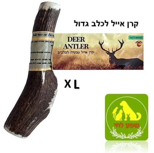 קרן אייל טבעית מלאה XL לכלב גדול
