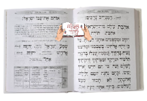 סידור בינת הלב מנחה וערבית
