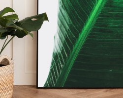 תמונת קנבס הדפס קלוז אפ  "Deep Green" |בודדת או לשילוב בקיר גלריה | תמונות לבית ולמשרד