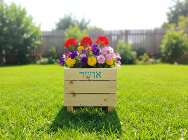 אדנית אושר