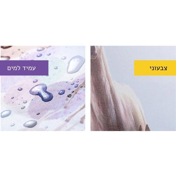 הדפסת-תמונות-בהתאמה-אישית-קנבס-גיבורי-על-תמונה-לחדר