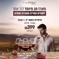 מארז 6 כוסות יין 900 מ"ל גדולות ודיקנטר מהמם במחיר מיוחד