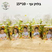 בלוק עץ