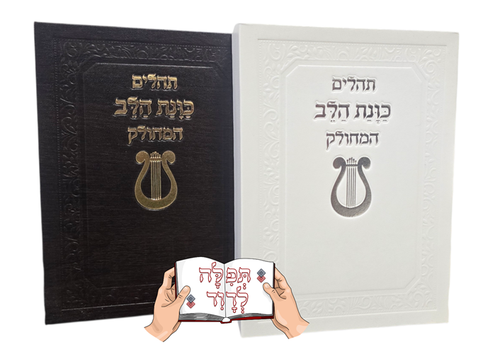 תהילים מחולק מהודר בקופסא קשיחה