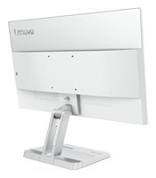 Lenovo L24-4C Monitor