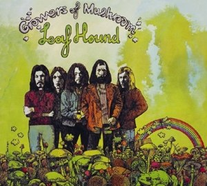 LEAF HOUND / GROWERS OF MUSHROOM