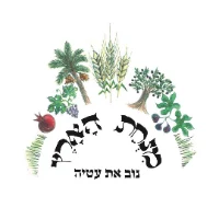 גרעיני תירס אורגניים -  1 ק״ג