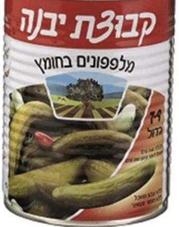 מלפפון בחומץ קבוצת יבנה