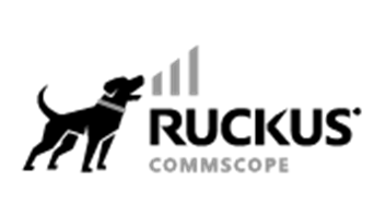 שירות לרישוי הניהול לשנה