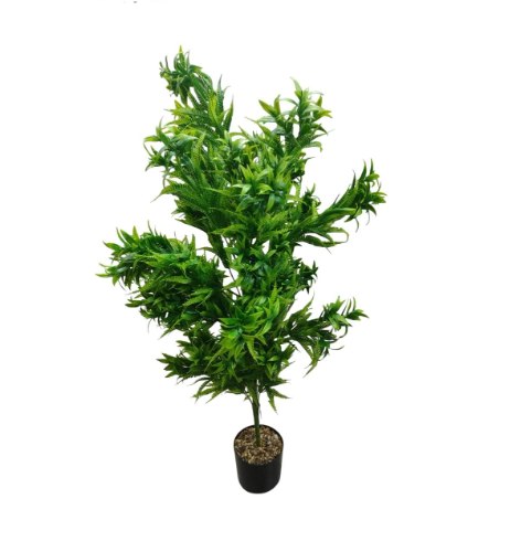 עציץ נוי עלים ארוכים דגם S20021