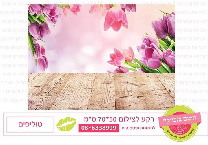 רקע צילום טוליפים
