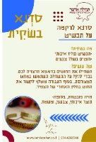 סדנא בשקית