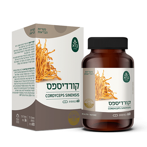 Cordyceps sinensis  | קורדיספס | CAP 60 | סדרת פטריות ברא צמחים